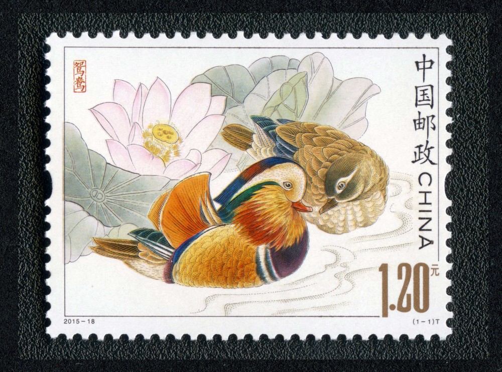 鸳鸯