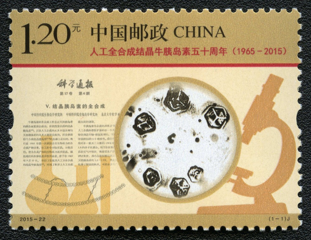 人工全合成结晶牛胰岛素五十周年