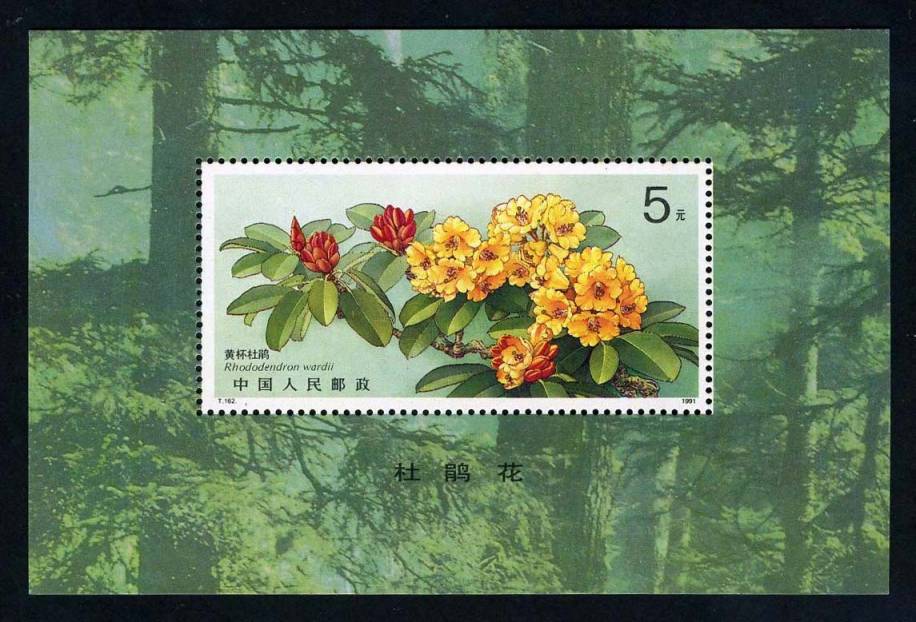 杜鹃花(小型张)