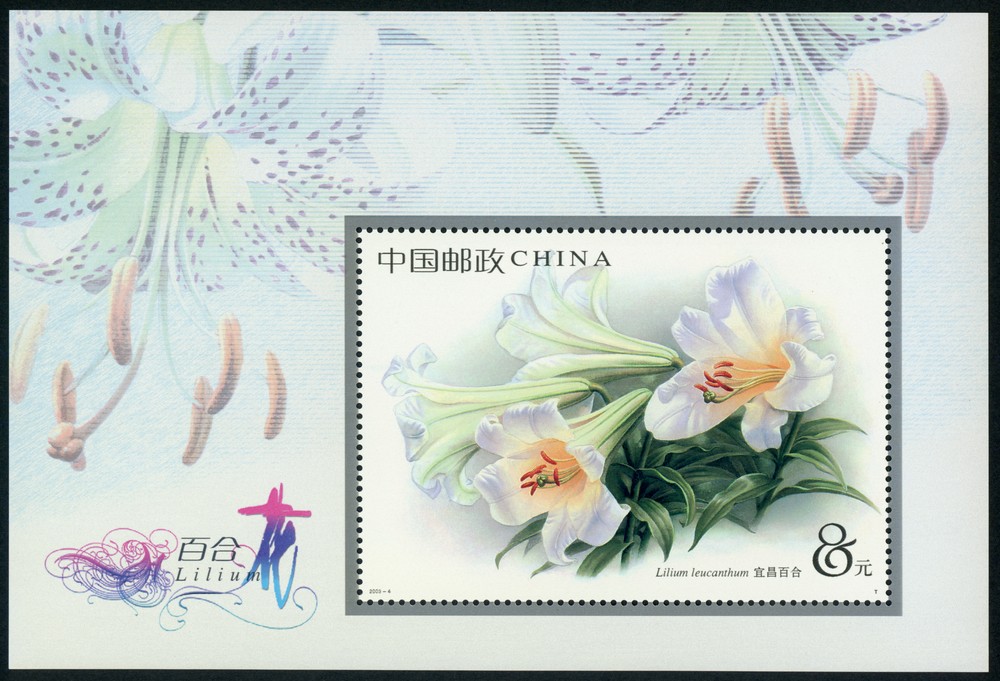 百合花（小型张）(T)