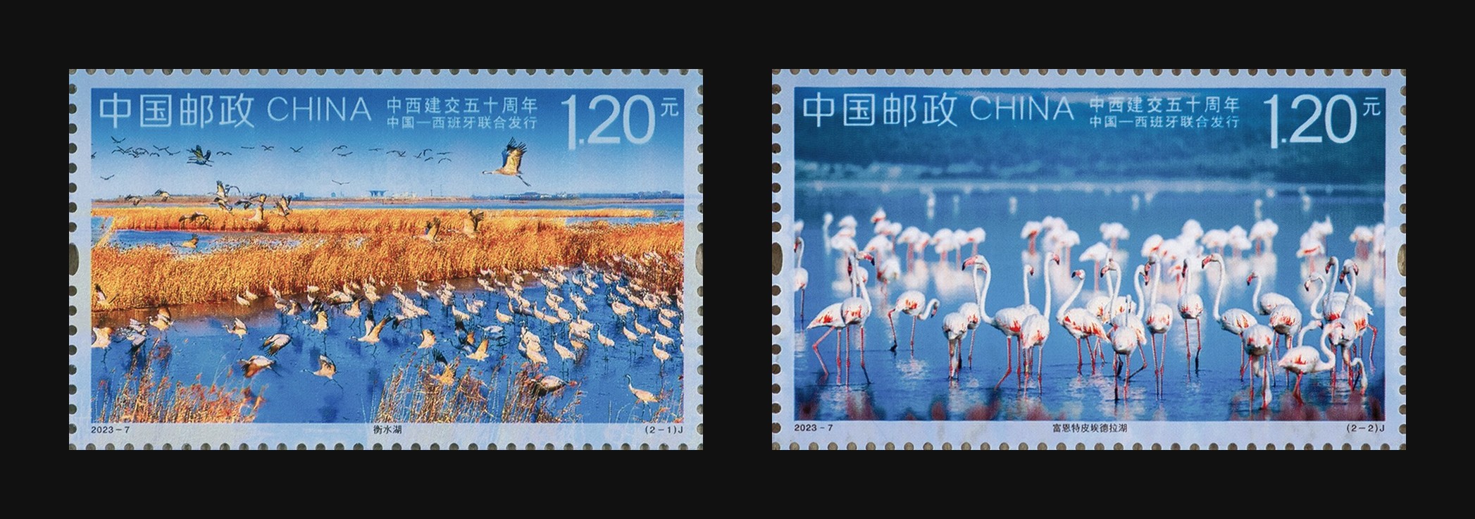 中西建交五十周年