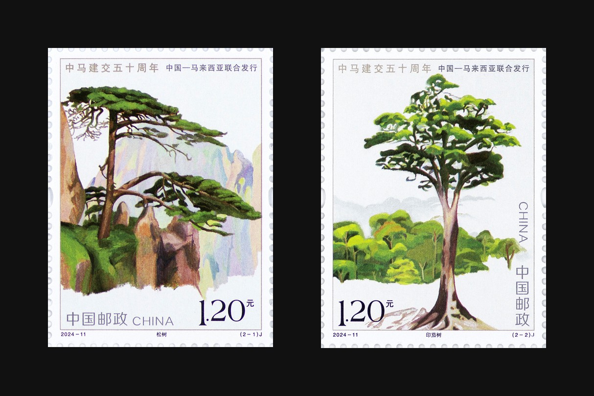 中马建交五十周年