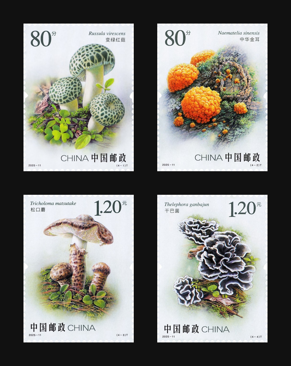 食用菌(二)