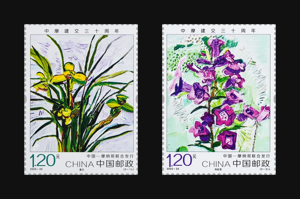 中摩建交三十周年