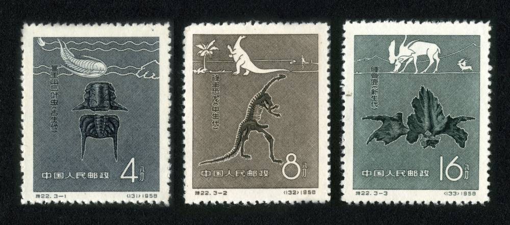 中国古生物