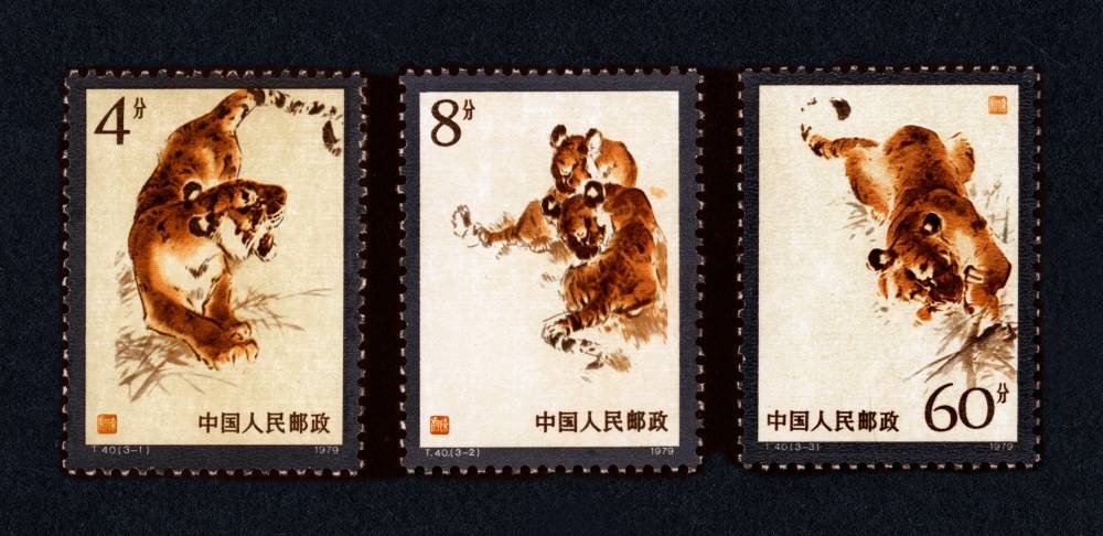 东北虎