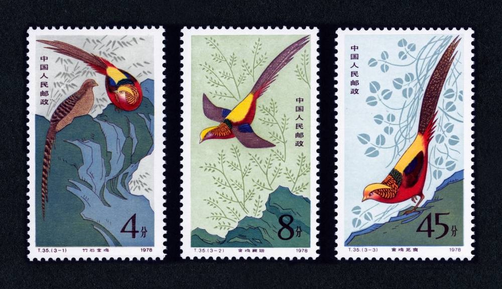 金鸡