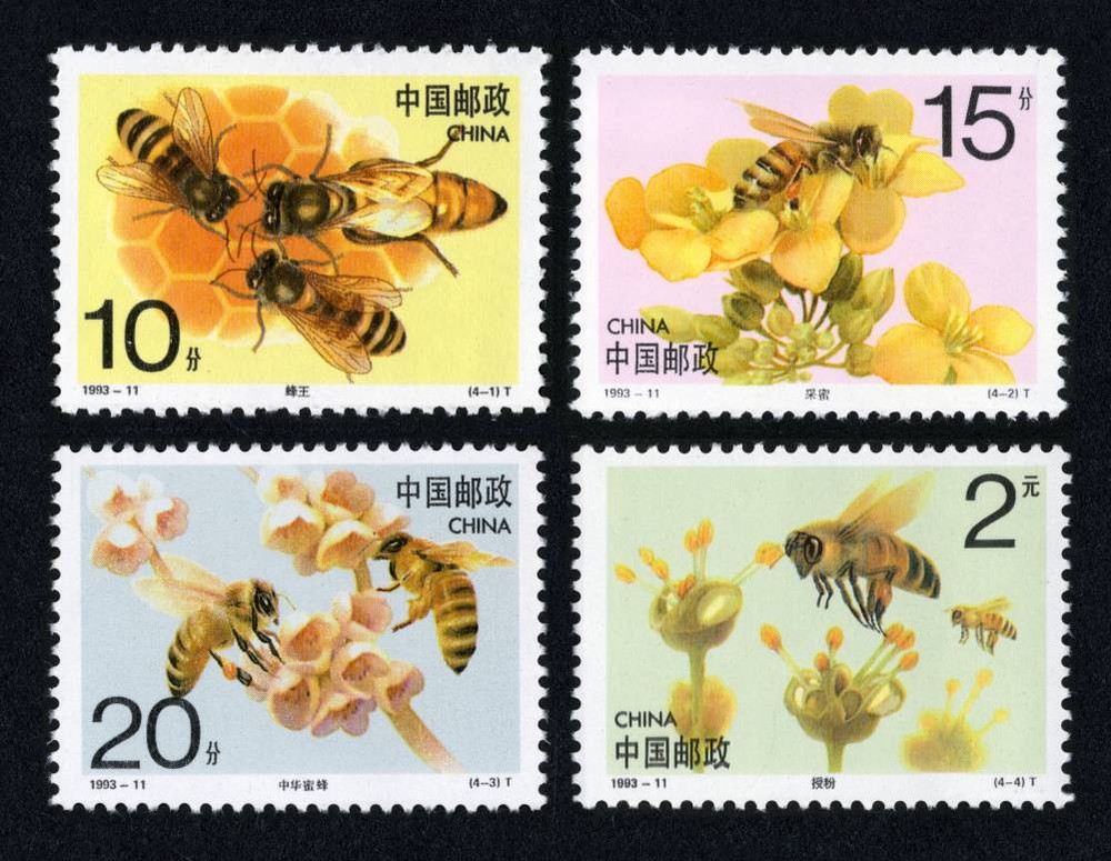 蜜蜂