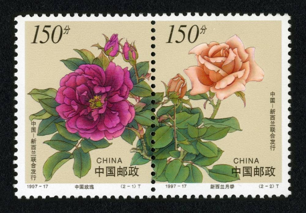 花卉