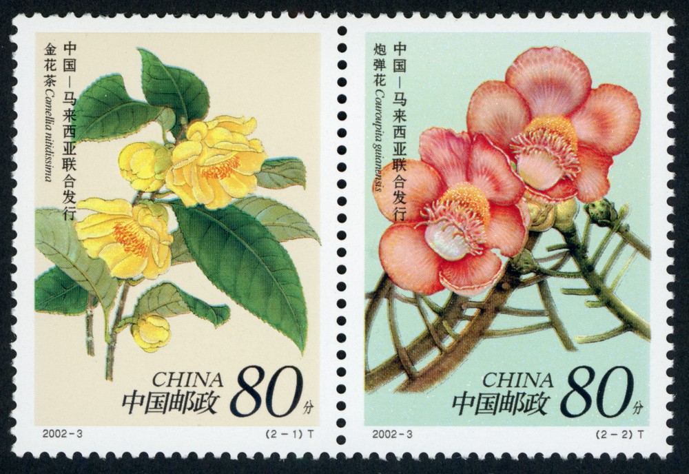 珍稀花卉