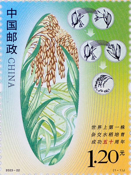世界上第一株杂交水稻培育成功五十周年