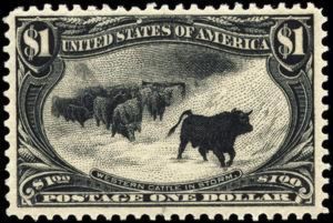 Cattle (Bos primigenius taurus) in Storm