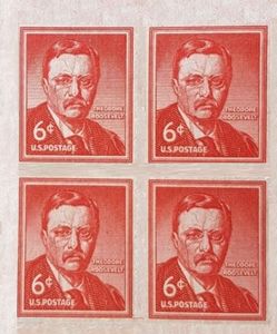 Theodore Roosevelt (1858-1919), 26th President of the U.S.A.