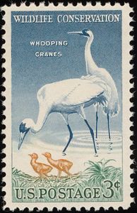 Wildlife Conservation