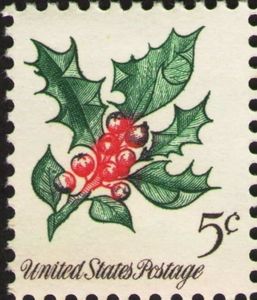 Holly (Ilex opaca)