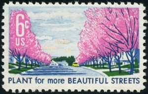 Plant for More Beautiful Streets