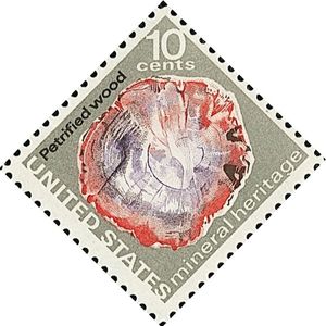 Petrified Wood