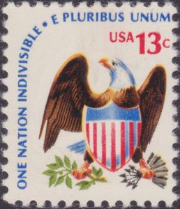 Bald Eagle (Haliaeetus leucocephalus), Shield