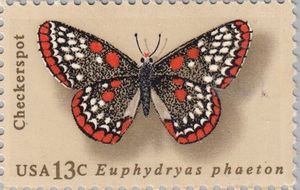 Baltimore Checkerspot (Euphydryas phaeton)