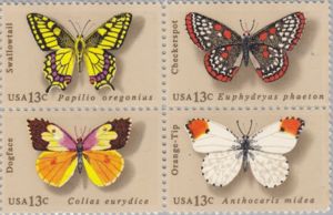 Butterflies