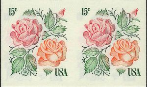 "Red Masterpiece" and "Medallion" Roses