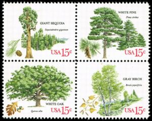 American Trees