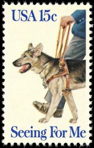 Guide Dog