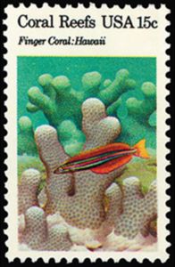 Finger Coral