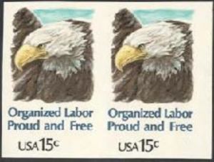 Bald Eagle (Haliaeetus leucocephalus)