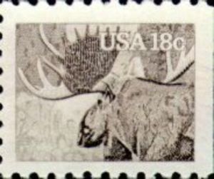 Moose (Alces alces)