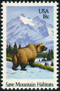 Grizzly Bear (Ursus arctos horribilis)