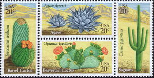Desert Plants