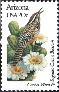 Arizona