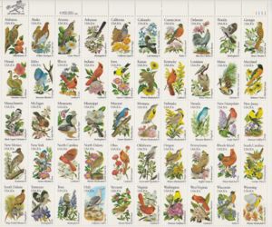 State - Birds & Flowers