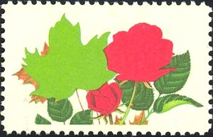Maple Leaf and Rose