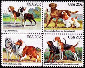Dog Breeds