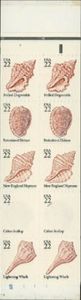 Seashells