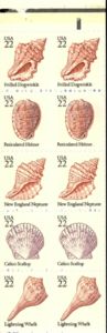 Seashells