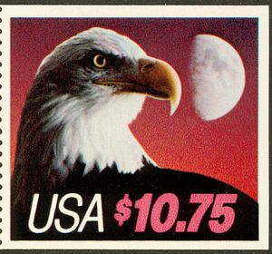 Bald Eagle (Haliaeetus leucocephalus). Moon