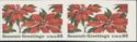 Poinsettia Plants