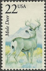 Mule Deer (Odocoileus hemionus)