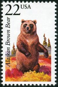 Alaskan Brown Bear (Ursus arctos alascensis)