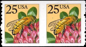 Honey Bee (Apis mellifera)