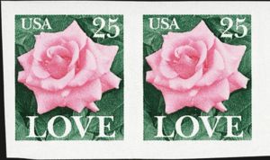Rose and 'LOVE'