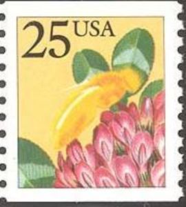 Honey Bee (Apis mellifera)