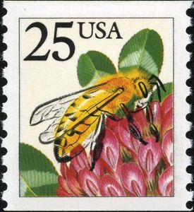 Honey Bee (Apis mellifera)