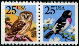 Rose-breasted Grosbeak (Pheucticus ludovicianus), Boreal Owl
