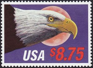 Bald Eagle (Haliaeetus leucocephalus). Moon