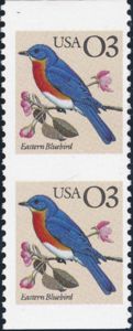 Eastern Bluebird (Sialia sialis)