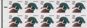 Wood Duck (Aix sponsa)
